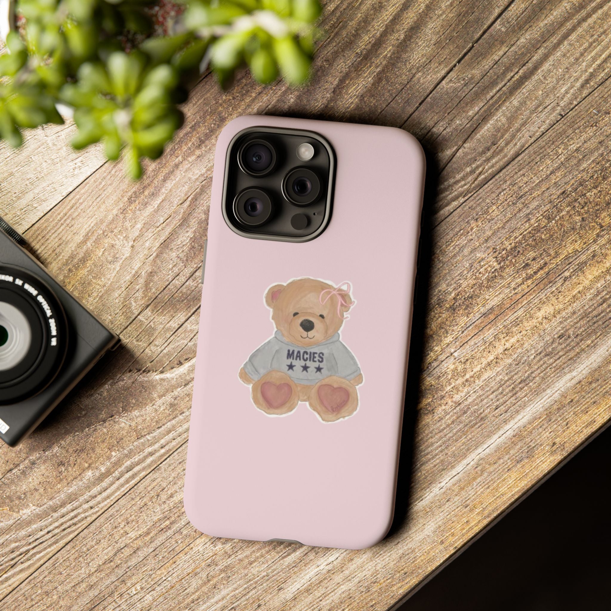 TEDDY case