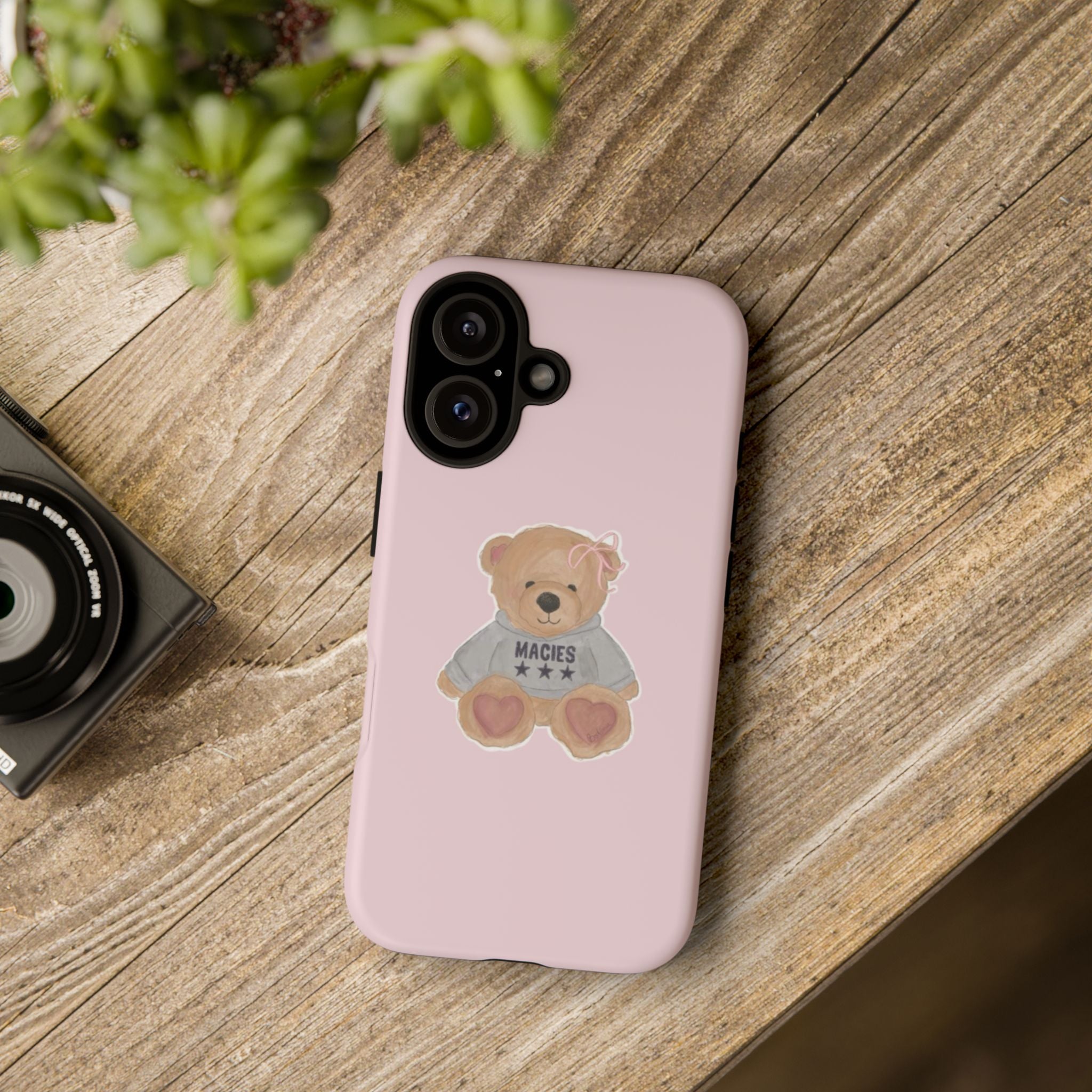 TEDDY case