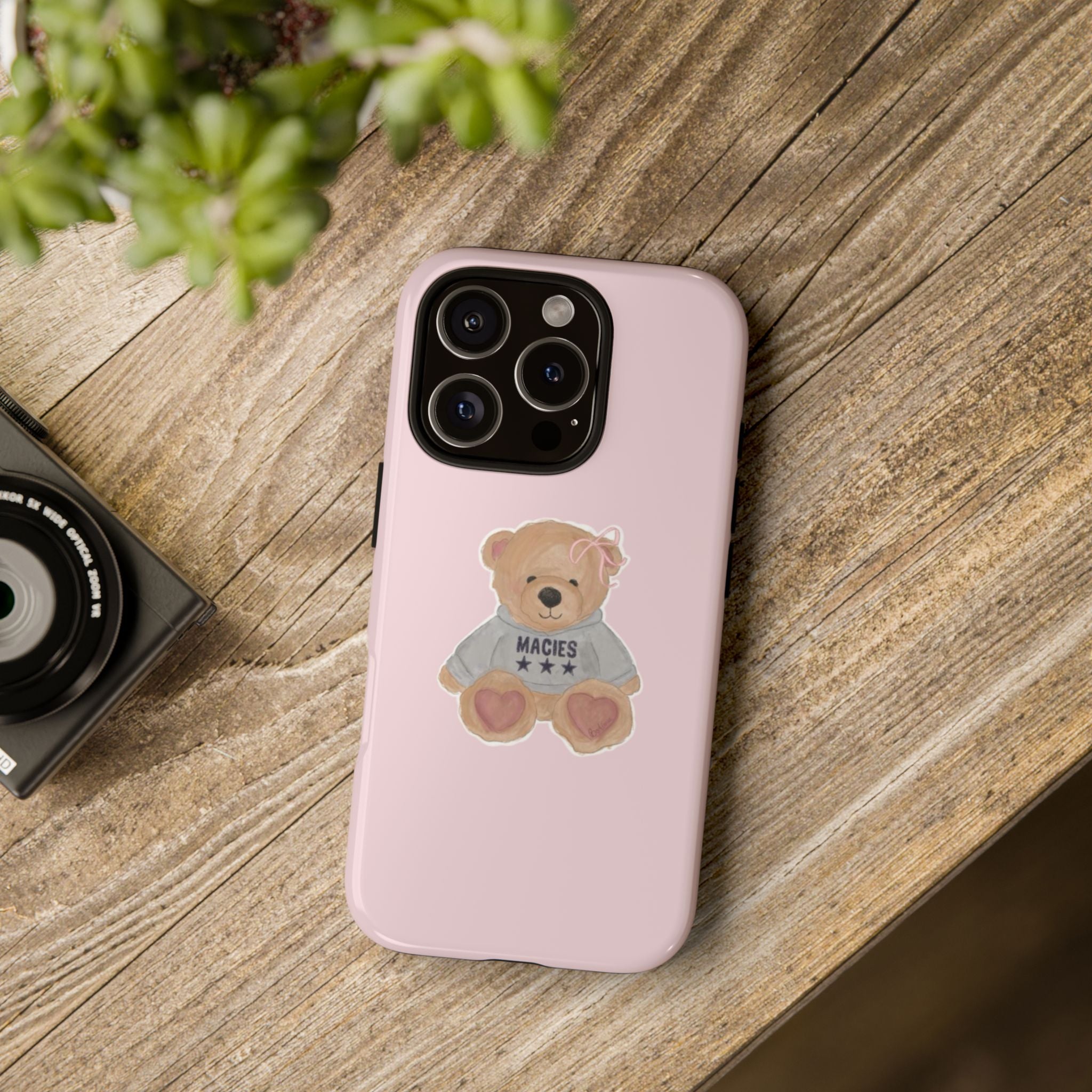 TEDDY case